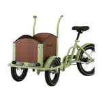 Chanty Cargo Kid - Grøn